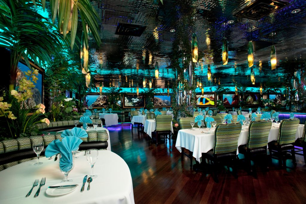 15 Bimini Wendover Southern Nv 2