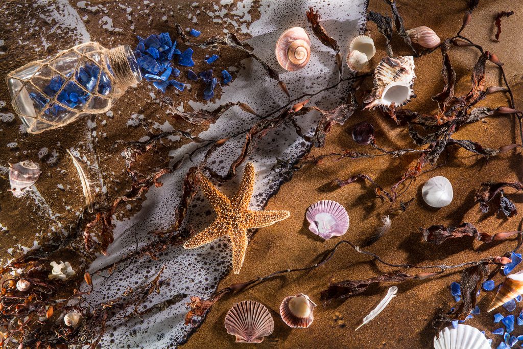 21 Pajaro Sand 702 2