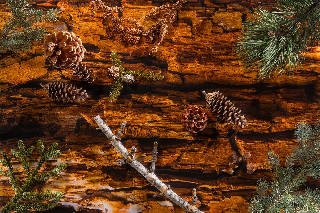 22 Mt Rose Woods 913 2