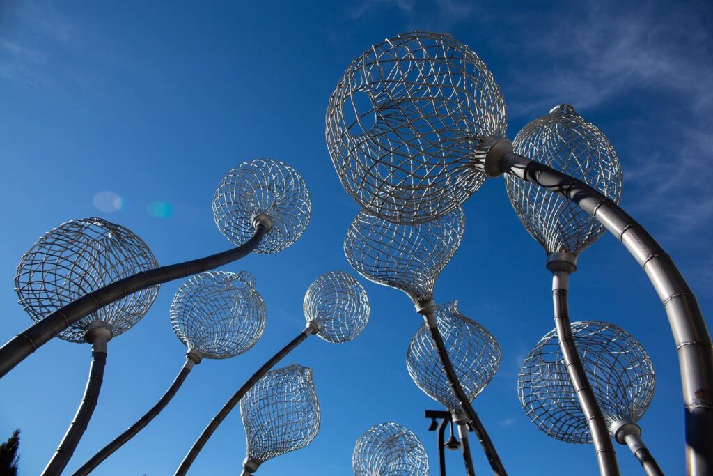 246701095_10157900437381780_4893295159016879335_n